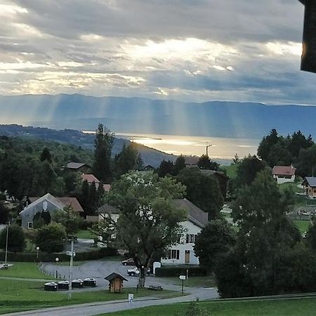 Balcony Of Lake Geneva Thollon-les-Memises Luaran gambar